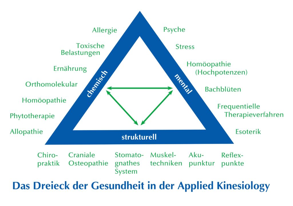 Applied Kinesiology nach Goodheart (AK) Naturheilpraxis Andreas Gottwald